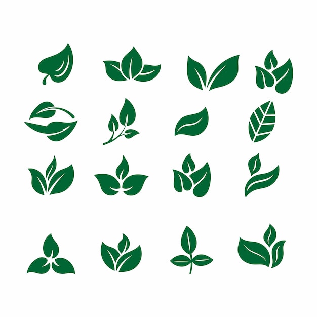 une collection de feuilles vertes et de feuilles avec le mot feuille sur elles