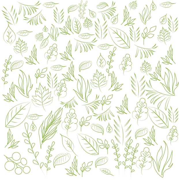 Collection de feuilles vertes tropicales dessin au trait Illustration vectorielle dessinée à la main Stock EPS