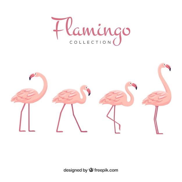 Vecteur collection de flamants roses mignons dans un style dessiné à la main