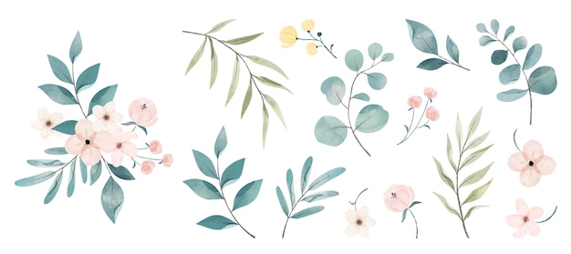 Collection de fleurs aquarelles