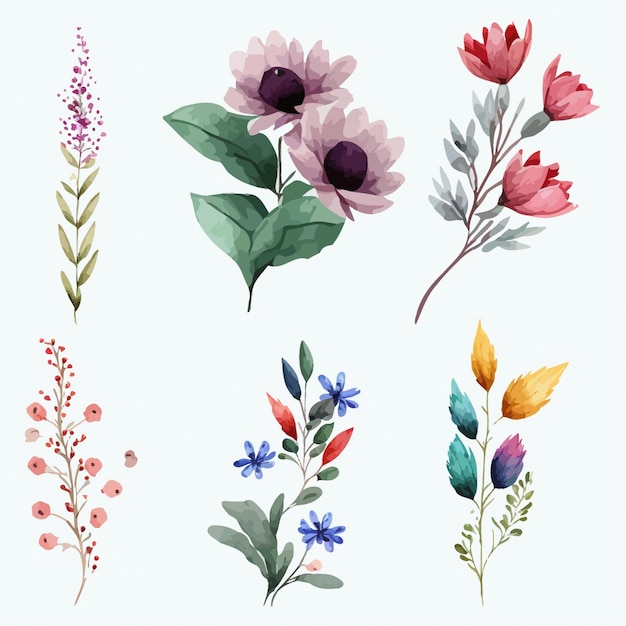 Collection de fleurs Belle aquarelle ensemble d'ornements de conception