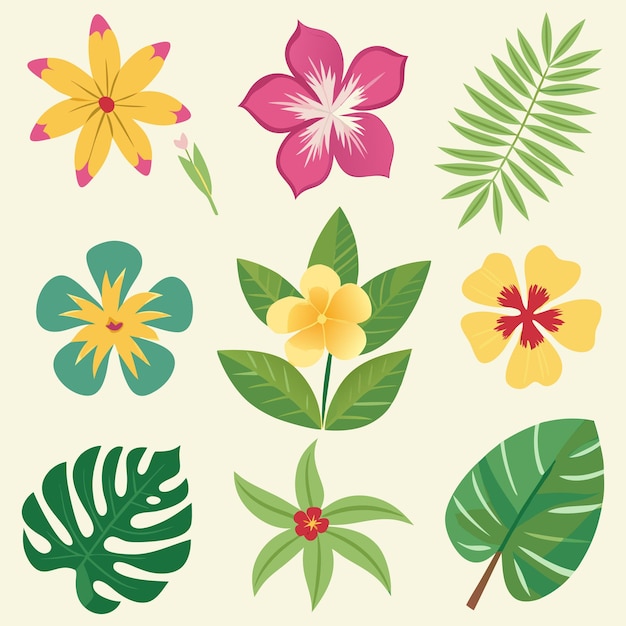 Une collection de fleurs et de feuilles tropicales