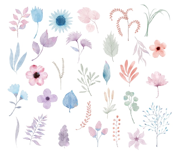 une collection de fleurs et de plantes du jardin