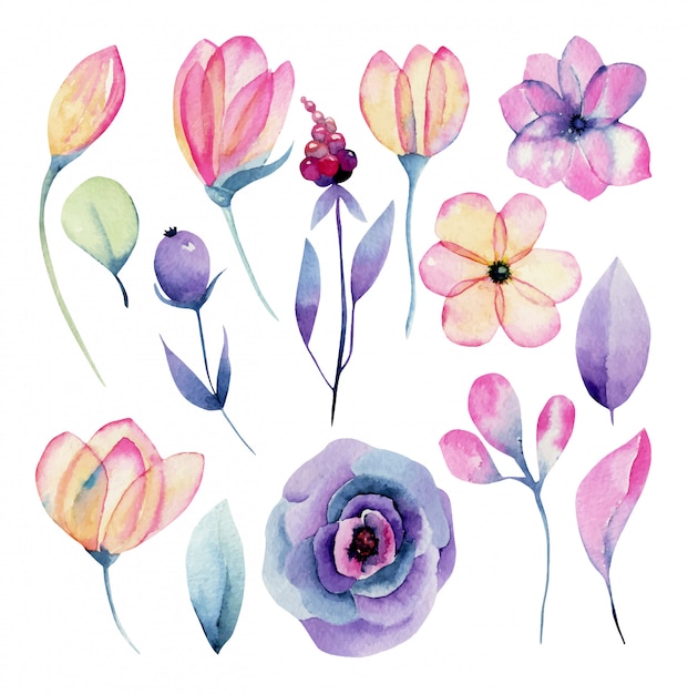 Collection De Fleurs Roses Et Violettes Aquarelles Isolées, Illustration Peinte à La Main