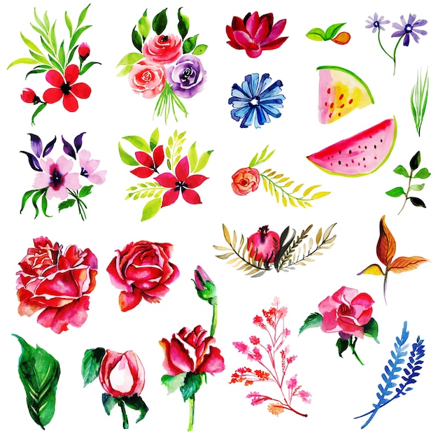 Collection Florale Aquarelle