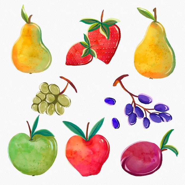 Vecteur collection de fruits aquarelle peinte à la main