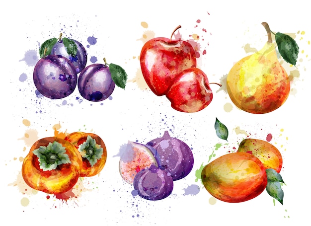 Vecteur collection de fruits aquarelle