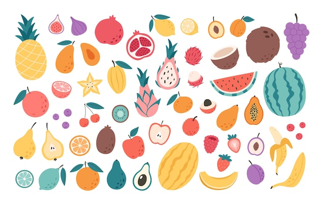 Collection de fruits, baies et fruits exotiques. Alimentation biologique naturelle. Nourriture saine