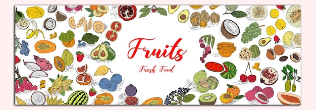 Vecteur collection de fruits dans un ensemble d'illustrations au style dessiné à la main