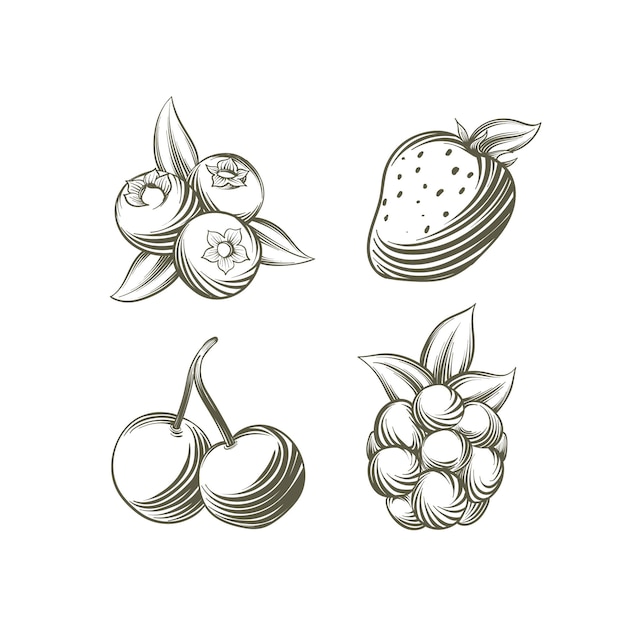 Collection de fruits dessinés à la main de gravure