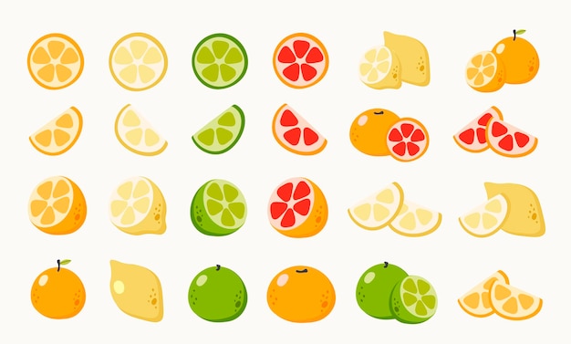 Collection de fruits d'été d'éléments individuels Ensemble de baies de fruits tropicaux et de jardin frais