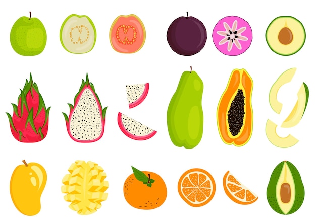 Collection de fruits tropicaux exotiques