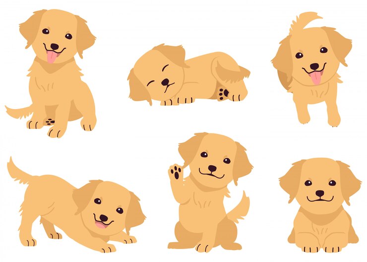 Vecteur la collection de golden retriever dans de nombreuses actions
