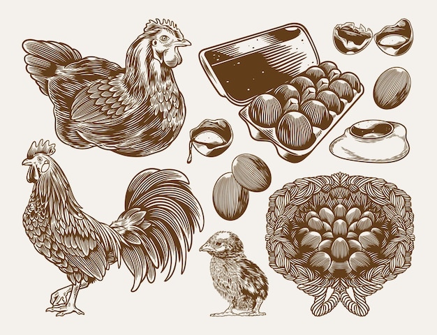 Collection De Gravures Vintage De Ferme De Poulet Avec Des œufs Et De La Volaille