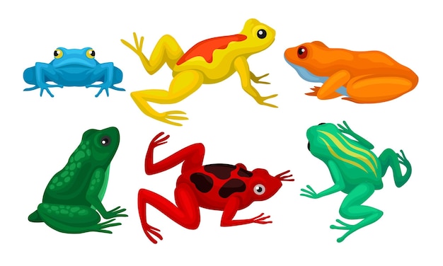 Vecteur collection de grenouilles animaux amphibiens de différentes couleurs illustration vectorielle