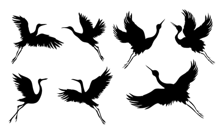 Vecteur collection de grues oiseau silhouette isolé sur fond blanc vecteur premium