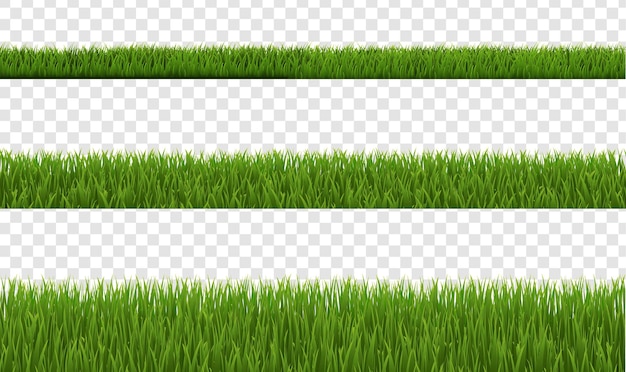Collection d'herbe verte et fond transparent