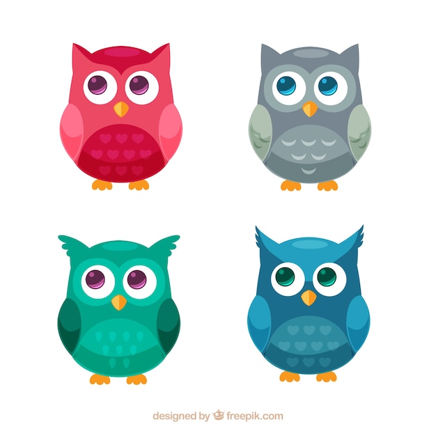 Collection De Hibou Plat