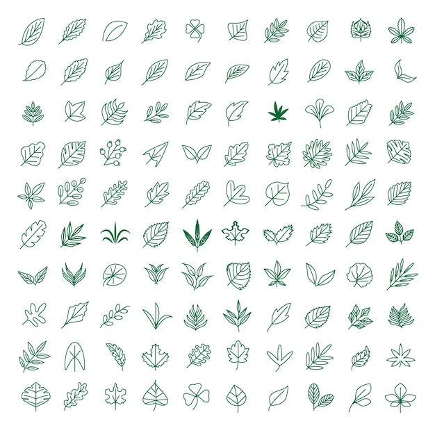 Collection d'icônes de feuilles de plantes vertes, d'herbes forestières et de feuilles tropicales.