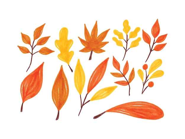 Collection D'illustration Aquarelle De Feuille D'automne