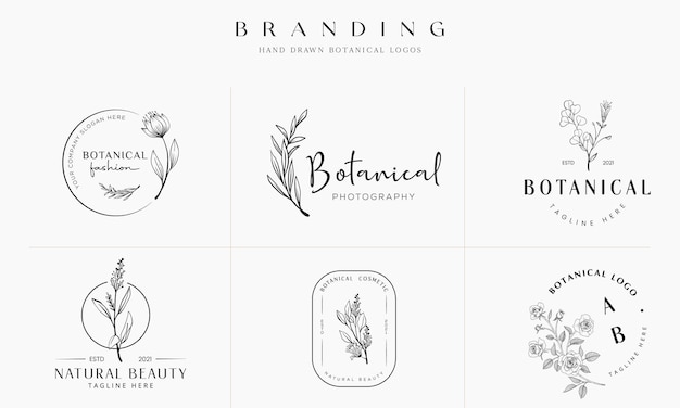 Collection D'illustration De Logo Botanique Floral Dessiné à La Main Pour La Beauté Naturelle Organique Vecteur Premium