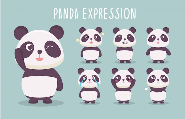 Collection D'illustration Mignonne D'expression De Panda