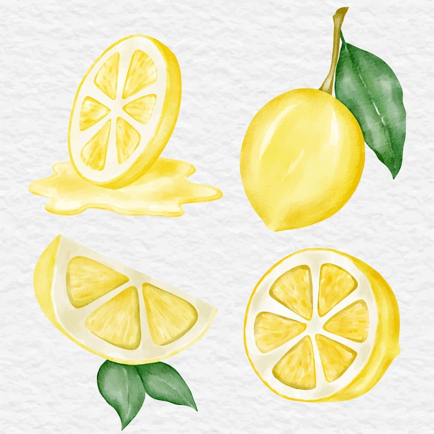 Collection D'illustrations D'art Clip Citron Aquarelle