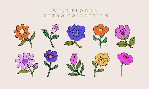 Vecteur collection d'illustrations de fleurs sauvages groovy