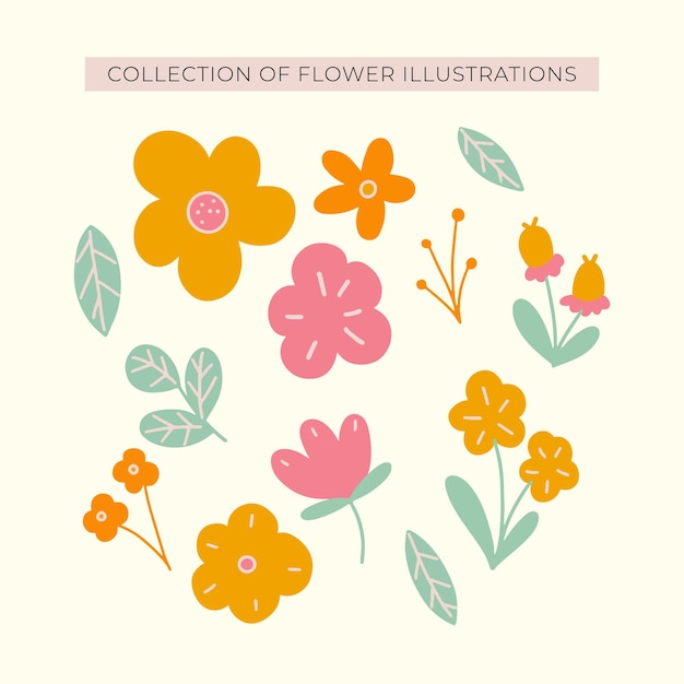 Collection D’illustrations De Fleurs