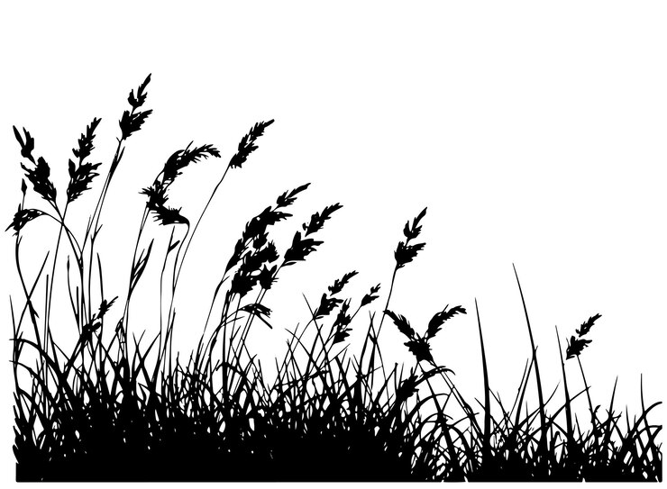 Vecteur collection d'illustrations d'herbe dessinée à la main