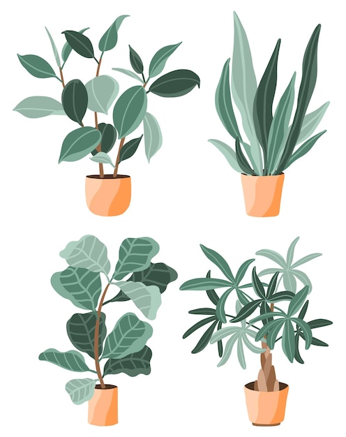 Collection D'illustrations De Plantes En Pot à La Mode De Style Plat Avec Des Pots En Terre Cuite