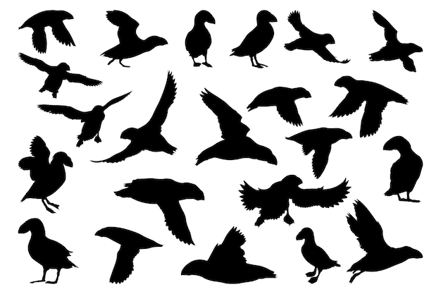 Collection d'illustrations sur la silhouette d'un puffin
