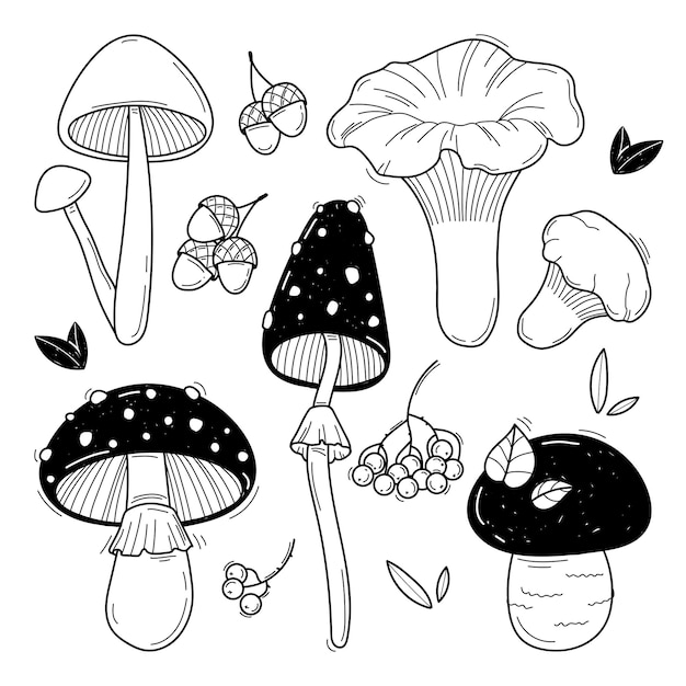 Collection D'illustrations Vectorielles De Champignons Noir Et Blanc Dessinés à La Main Croquis De Plantes Forestières Parfait Pour Les Recettes Menu étiquette Icône Emballage Champignons Vintage Décrit Ensemble Botanique