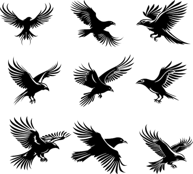 collection d'illustrations vectorielles de silhouettes noires et blanches du corbeau