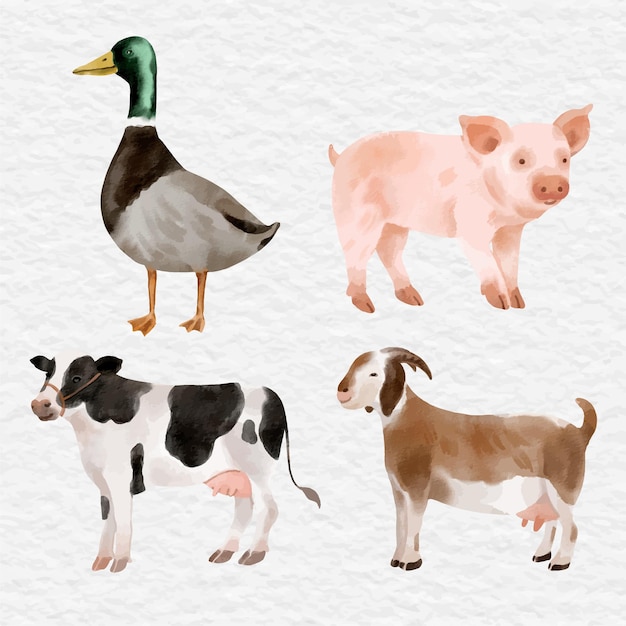 Vecteur collection d'images clipart d'éléments d'animaux de ferme aquarelle