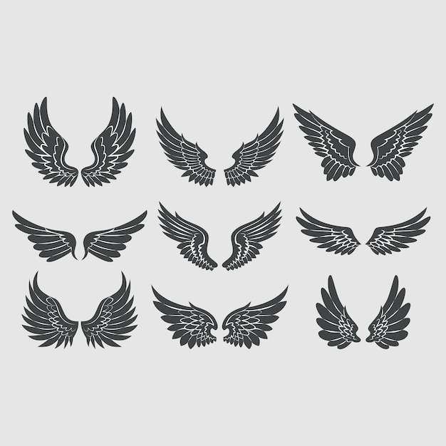 une collection d'images en noir et blanc des ailes