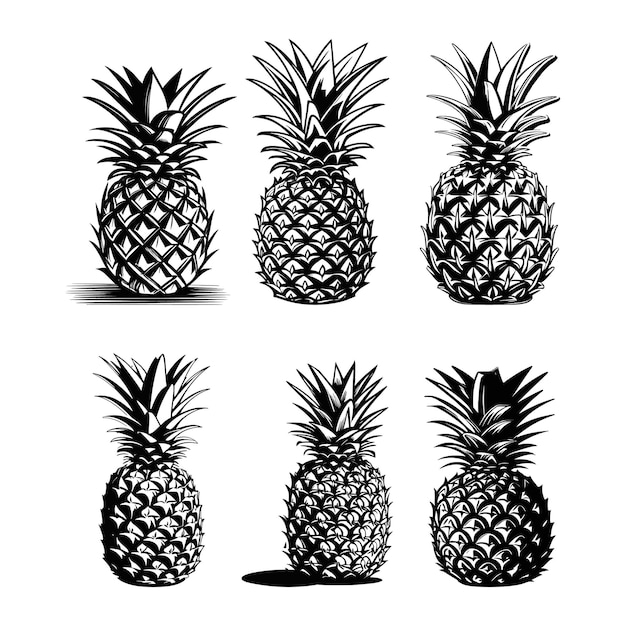 Vecteur une collection d'images en noir et blanc d'ananas