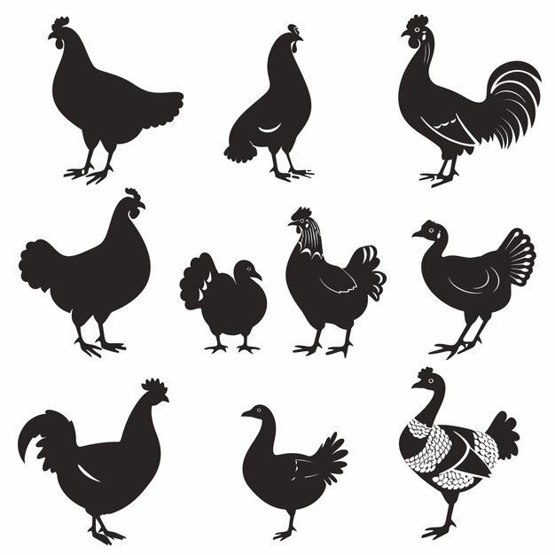 une collection d'images de poulets et de coqs