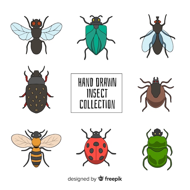 Collection D'insectes Colorés Dessinés à La Main