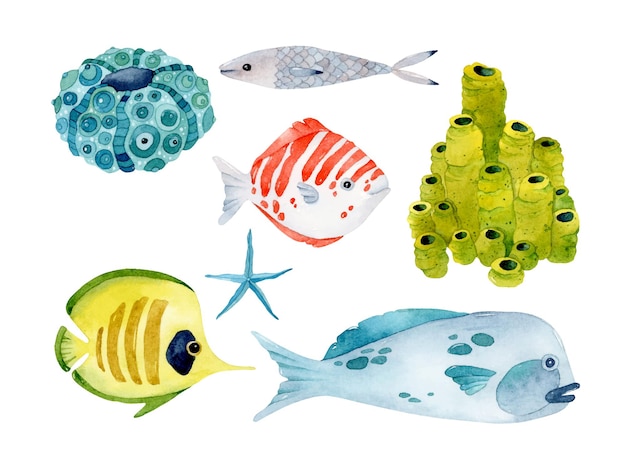 Collection De Jeu D'éléments Isolés Aquarelle De Poissons Colorés