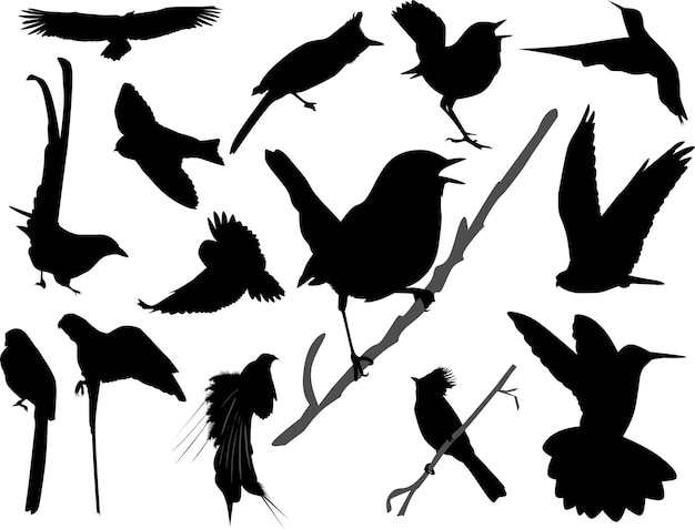 Collection de jeu d'illustration d'oiseau silhouette