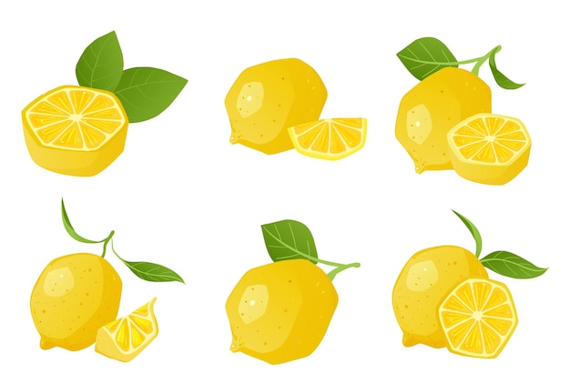 Vecteur collection de jeu d'illustrations vectorielles de compositions de citron de dessin animé
