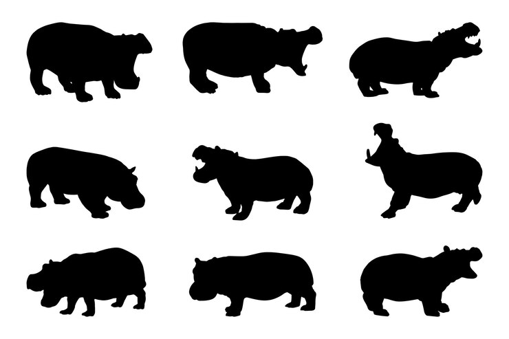 Vecteur collection de jeu de silhouette d'hippopotame isolé noir sur illustration vectorielle fond blanc