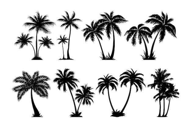 Collection De Jeux De Silhouettes De Palmiers Vectoriels