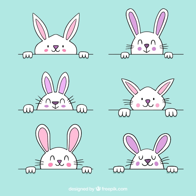 Collection De Lapin De Pâques Dessinés à La Main