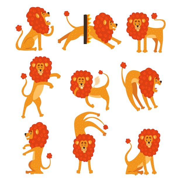 Collection de lion dans diverses poses. Personnage de dessin animé d'un animal africain sauvage.