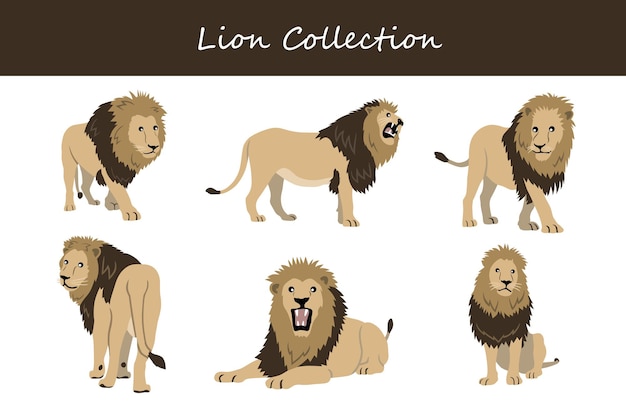 collection de lions lions dans différentes poses illustration vectorielle