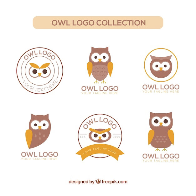 Vecteur collection de logo hibou plat