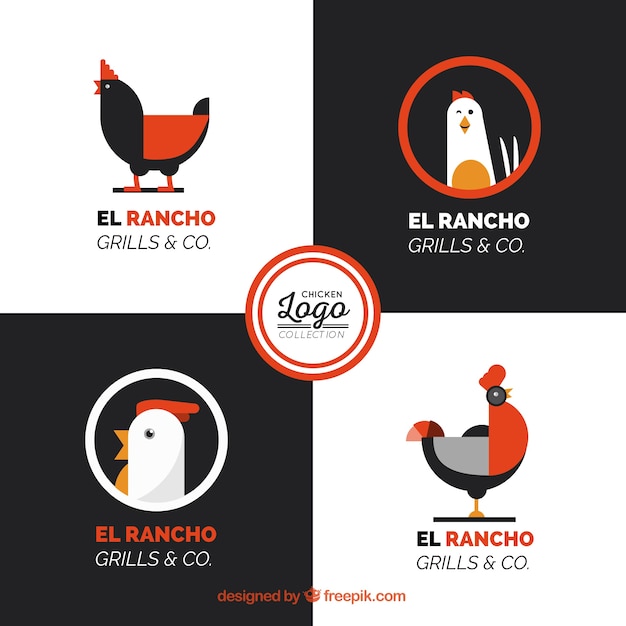 Collection De Logos De Poulet Avec Détails Orange