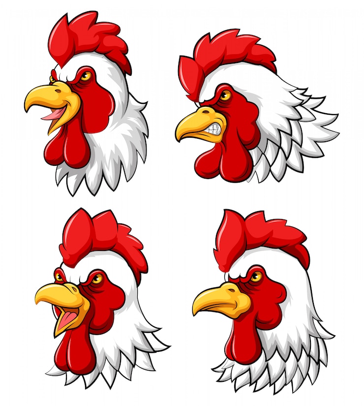 Vecteur collection de mascotte de tête de coq